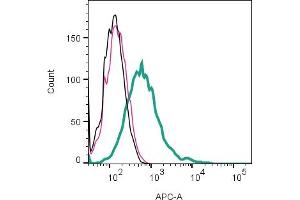 Cell surface detection of Nav1.