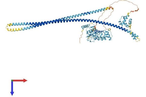 LRSAM1 Protein (AA 1-727) (His tag)