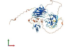 Protein Structure (PS) image for Neuralized E3 Ubiquitin Protein Ligase 1B (NEURL1B) (AA 1-546) protein (His tag) (ABIN7556939)