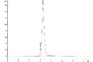 Size-exclusion chromatography-High Pressure Liquid Chromatography (SEC-HPLC) image for 5'-Nucleotidase, Ecto (CD73) (NT5E) (AA 27-547) protein (Fc Tag) (ABIN7274228)