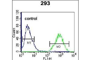 TF Antibody (Center) (ABIN655908 and ABIN2845307) flow cytometric analysis of 293 cells (right histogram) compared to a negative control cell (left histogram). (TFAP4 Antikörper  (AA 125-154))