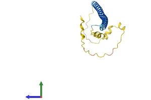 Protein Structure (PS) image for Jun Dimerization Protein 2 (JDP2) (AA 1-163) protein (His tag) (ABIN7548672)
