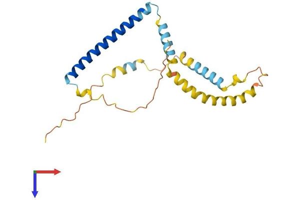 TPD52L1 Protein (AA 1-204) (His tag)