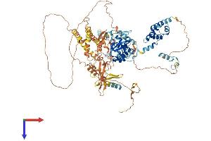 PEG10 Protein (AA 1-958) (His tag)