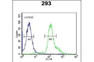 RSPO2 Antibody (C-term) (ABIN651457 and ABIN2840250) flow cytometric analysis of 293 cells (right histogram) compared to a negative control cell (left histogram). (RSPO2 Antikörper  (C-Term))