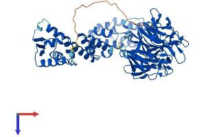 KLHL2 Protein (AA 1-593) (His tag)