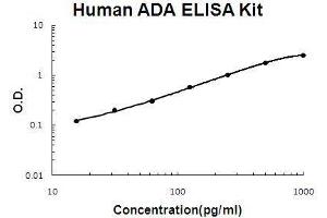 Human ADA PicoKine ELISA Kit standard curve (ADA ELISA Kit)