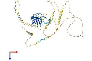 NAF1 Protein (AA 1-489) (His tag)