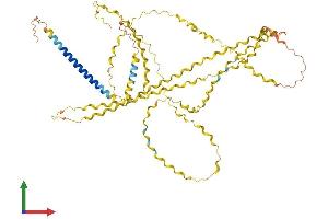 Protein Structure (PS) image for Collagen, Type XXIII, alpha 1 (COL23A1) (AA 1-532) protein (His tag) (ABIN7559570)