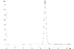 Size-exclusion chromatography-High Pressure Liquid Chromatography (SEC-HPLC) image for Fc Receptor, IgG, High Affinity I (FCGR1) (AA 25-297) protein (His tag) (ABIN7274674)