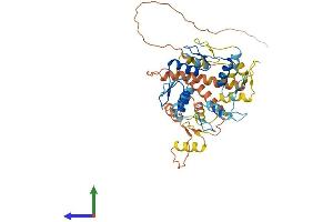 AlphaFold protein structure predicition of Human Recombinant ZNF562 Protein, UniprotID Q6V9R5