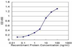 Detection limit for recombinant GST tagged SFPQ is approximately 0. (SFPQ Antikörper  (AA 269-361))