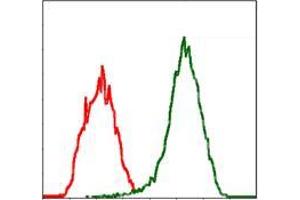 Flow cytometric analysis of Jurkat cells using MSN mouse mAb (green) and negative control (red).