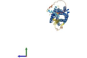 Protein Structure (PS) image for Neurotensin Receptor 2 (NTSR2) (AA 1-416) protein (His tag) (ABIN7556690)