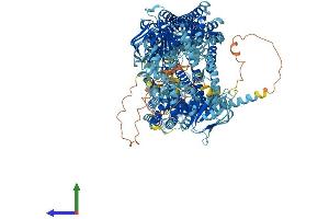Protein Structure (PS) image for ATP-Binding Cassette, Sub-Family C (CFTR/MRP), Member 2 (ABCC2) (AA 1-1545) protein (His tag) (ABIN7554630)
