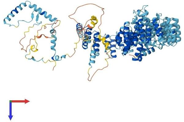 PRP6/ANT-1 Protein (AA 1-941) (His tag)