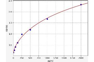 Protein Red (IK) ELISA Kit