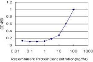 Detection limit for recombinant GST tagged NBN is approximately 3ng/ml as a capture antibody. (Nibrin Antikörper  (AA 645-754))