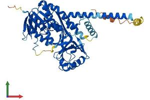 AlphaFold protein structure predicition of Human Recombinant KMO Protein, UniprotID O15229