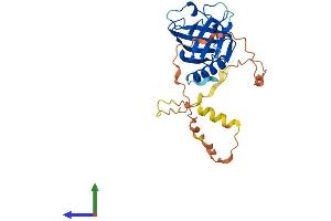 Protein Structure (PS) image for WW Domain Binding Protein 2 (WBP2) (AA 1-261) protein (His tag) (ABIN7545111)