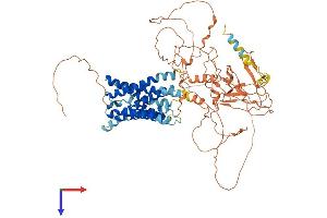 GPR149 Protein (AA 1-731) (His tag)