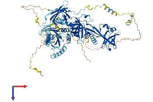 TSR1 Protein (AA 1-804) (His tag)