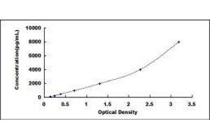 S100 Calcium Binding Protein A7 (S100A7) ELISA Kit