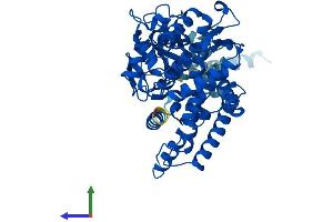 AlphaFold protein structure predicition of Mouse Recombinant Cyp2b19 Protein, UniprotID O55071 (CYP2B19 Protein (AA 1-492) (His tag))