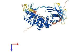 MUTYH Protein (AA 1-515) (His tag)