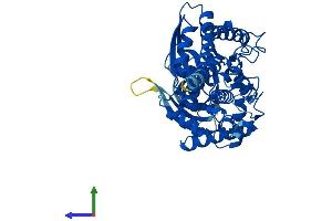 Protein Structure (PS) image for Glucokinase (Hexokinase 4) (GCK) (AA 1-465) protein (His tag) (ABIN7548459)