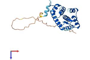 Grancalcin Protein (AA 1-220) (His tag)