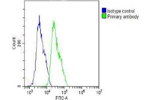 Overlay histogram showing MCF-7 cells stained with Antibody (green line). (IL-1 beta Antikörper  (AA 148-174))