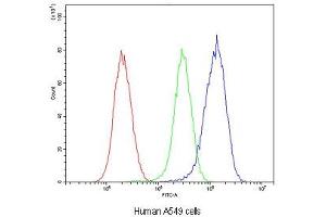 Flow cytometry testing of human A549 cells with Glutathione Reductase antibody at 1ug/10^6 cells (blocked with goat sera) (Glutathione Reductase Antikörper)