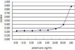 ACTN4 (Human) Matched Antibody Pair