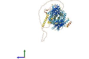 Protein Structure (PS) image for Adenylate Cyclase 8 (Brain) (ADCY8) (AA 1-1249) protein (His tag) (ABIN7563557)
