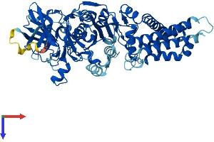 Protein Structure (PS) image for ATPase, H+ Transporting, Lysosomal 70kDa, V1 Subunit A (ATP6V1A) (AA 1-617) protein (His tag) (ABIN7545043)