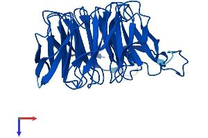 CIAO1 Protein (AA 1-339) (His tag)