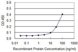Detection limit for recombinant GST tagged UBTF is approximately 30ng/ml as a capture antibody. (UBTF Antikörper  (AA 551-650))