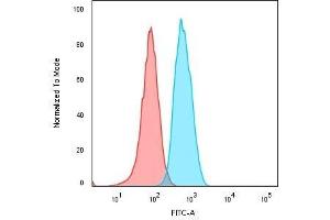 Flow Cytometric Analysis of Human Raji cells. (CD74 Antikörper)