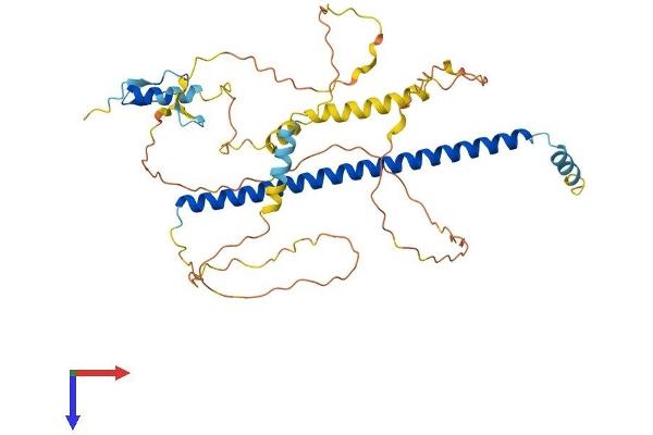 ATF7 Protein (AA 1-413) (His tag)