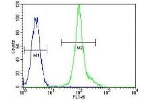 Flow Cytometry (FACS) image for anti-Lymphocyte-Specific Protein tyrosine Kinase (LCK) (AA 480-509) antibody (ABIN3031646)