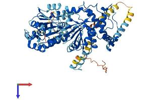 DDX55 Protein (AA 1-600) (His tag)
