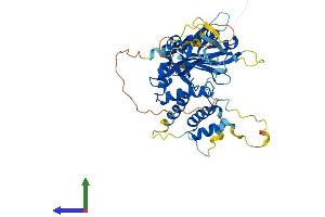 Protein Structure (PS) image for FERM Domain Containing 8 (FRMD8) (AA 1-464) protein (His tag) (ABIN7547749)