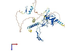 DPF3 Protein (AA 1-378) (His tag)