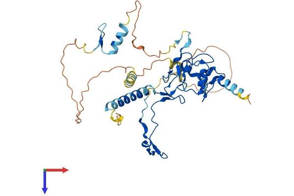DPF3 Protein (AA 1-378) (His tag)