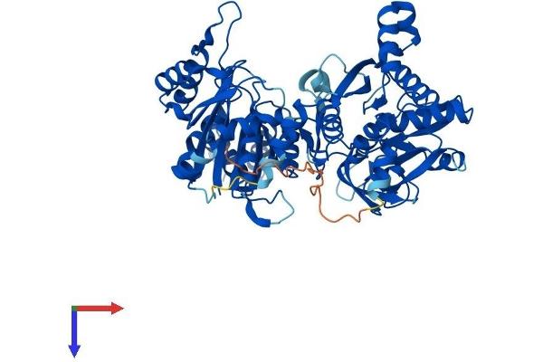 CTPS2 Protein (AA 1-586) (His tag)