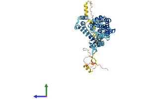 Protein Structure (PS) image for Solute Carrier Family 1 (Glial High Affinity Glutamate Transporter), Member 2 (SLC1A2) (AA 1-572) protein (His tag) (ABIN7563252)