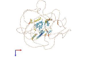 SALL4 Protein (AA 1-1053) (His tag)