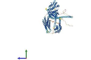 AlphaFold protein structure predicition of Human Recombinant HIP1R Protein, UniprotID O75146