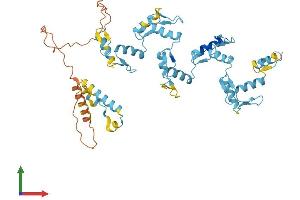 Protein Structure (PS) image for Zinc Finger Protein 222 (ZNF222) (AA 1-451) protein (His tag) (ABIN7545451)